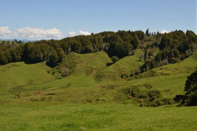 10 Kopaki Road Te Kuiti_2