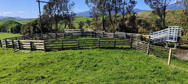 Parihaka Road Pungarehu_2