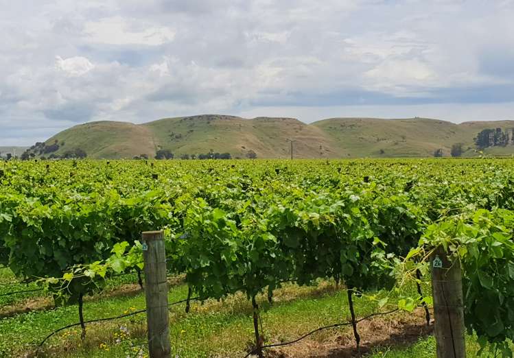 2061 Maraekakaho Road Central Hawkes Bay Coastal_12