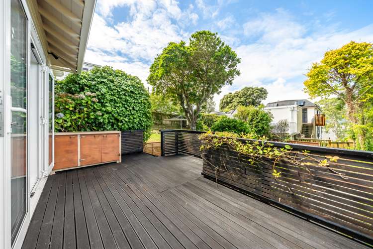 9 Mckenzie Terrace Te Aro_21