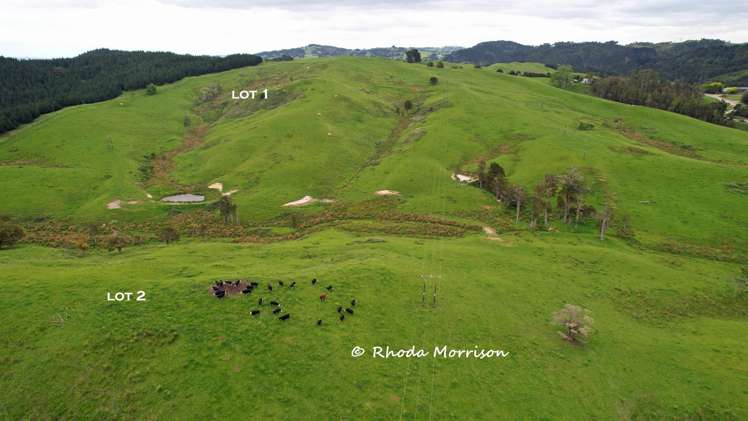 Golden Stairs Rd Maungaturoto_24