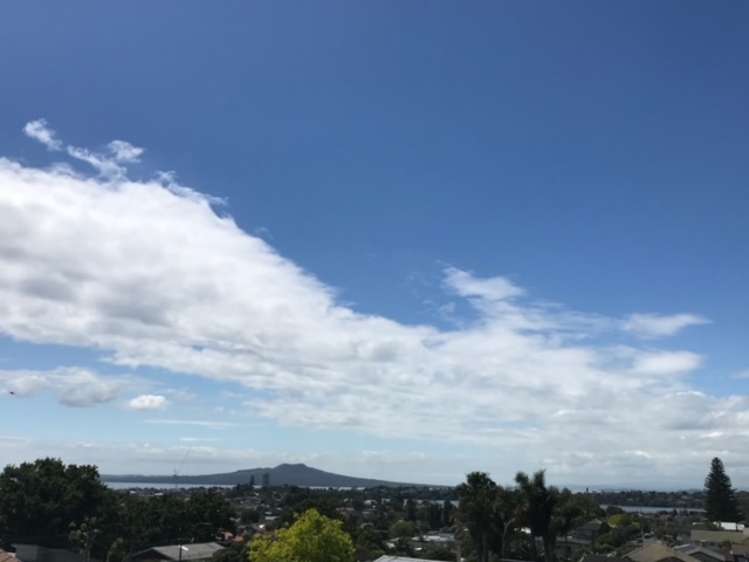 46a Quebec Road Milford_11