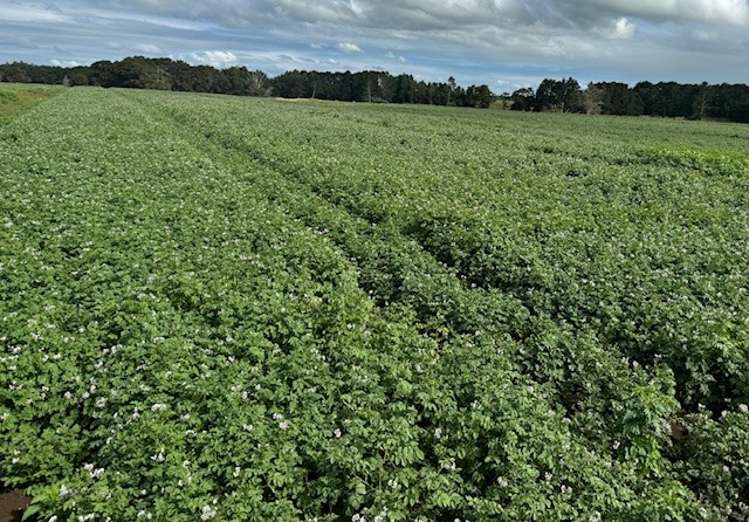 314 Campbell Road Richmond Downs_1