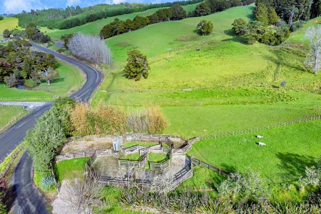 1524 Kirikopuni Valley Road Dargaville_2