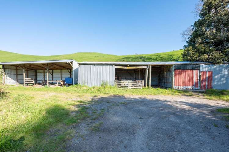 2261 Te Kopia Road Reporoa and Surrounds_8
