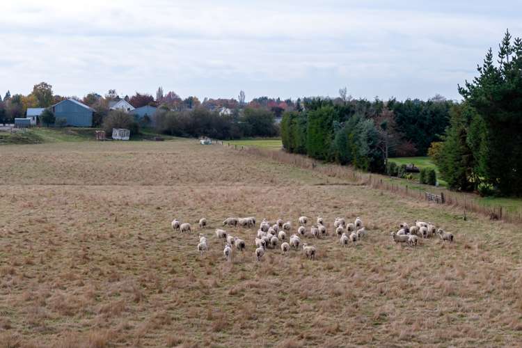 15 Methven Highway Allenton_22