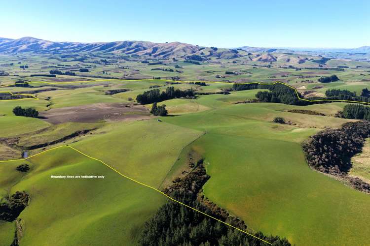 565 Bushy Park Road Waikaka_23