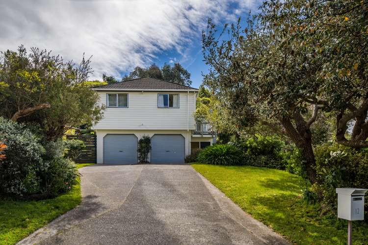 12 Westhaven Drive Tawa_0