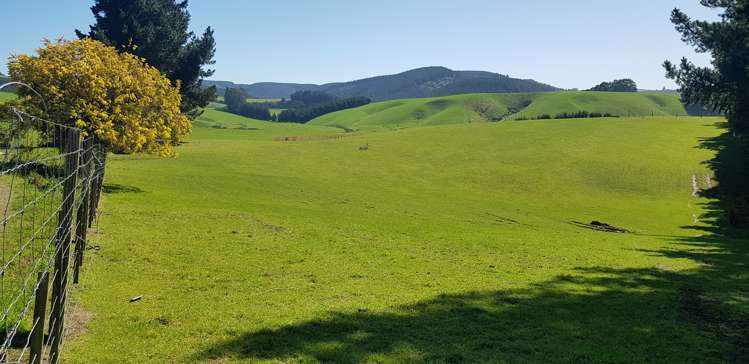 759 Adams Flat Road Balclutha_6