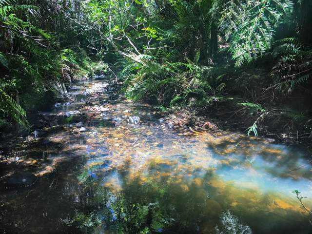 89 Bethells Road Waitakere_2