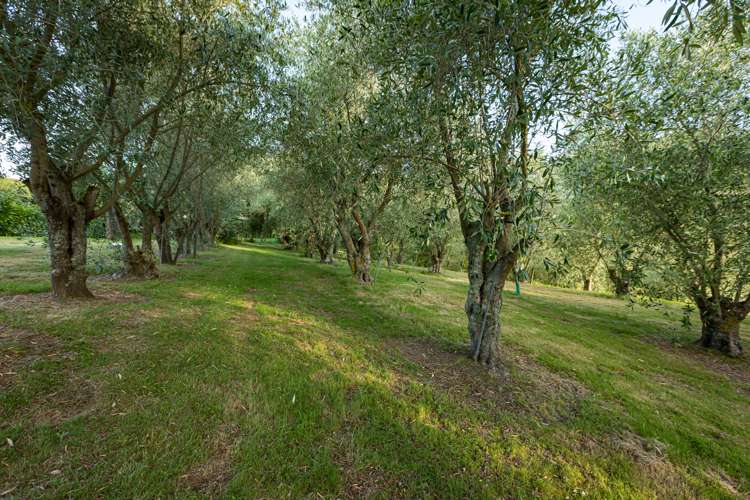 162 Lane Road Havelock North_11