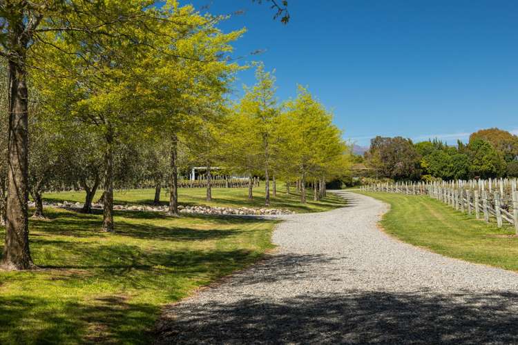 25 Guernsey Road Renwick_20