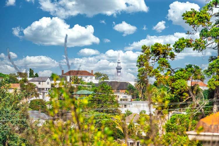 100a Patteson Avenue Mission Bay_4