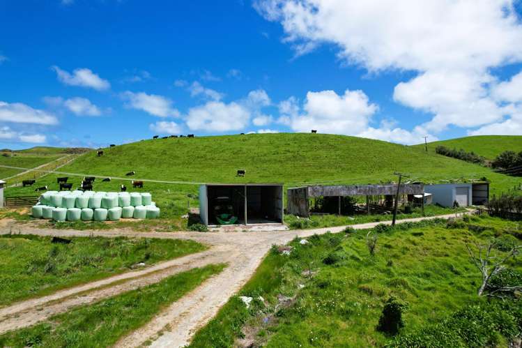 1090 Te Maire Road Dargaville_18