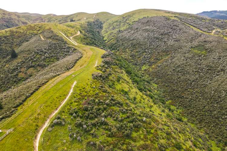 Mcintosh Road Geraldine_4