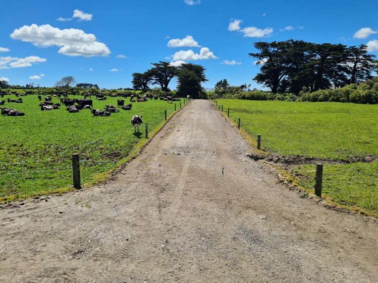 299 Cardiff Road Cardiff_18