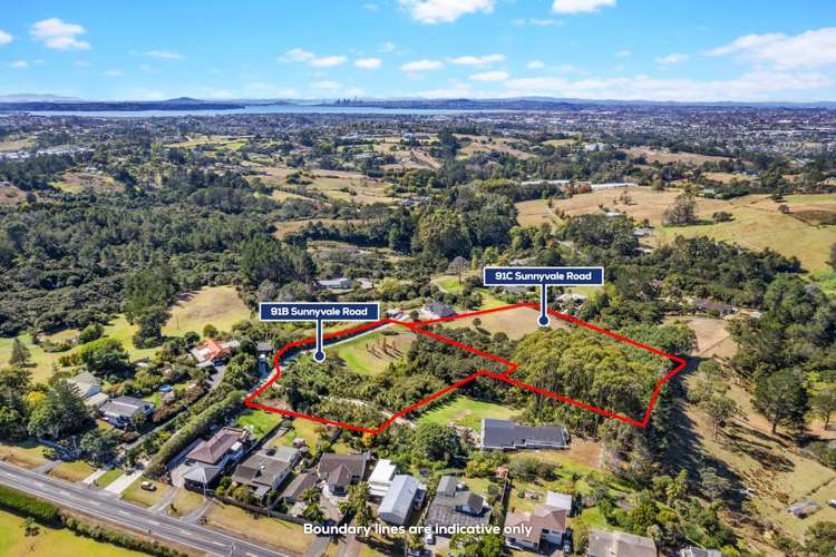 91b Sunnyvale Road Massey_5