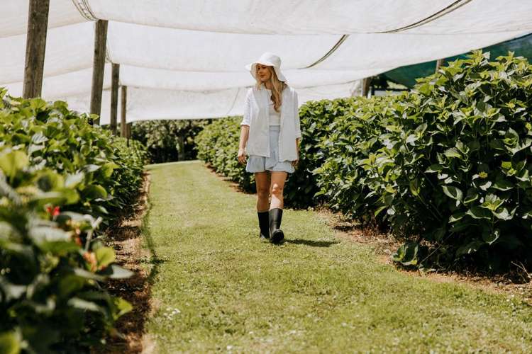 127 Armstrong Road Te Puna_16