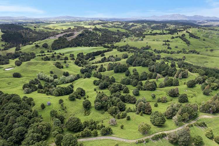 Coxhead Road Parakao_12