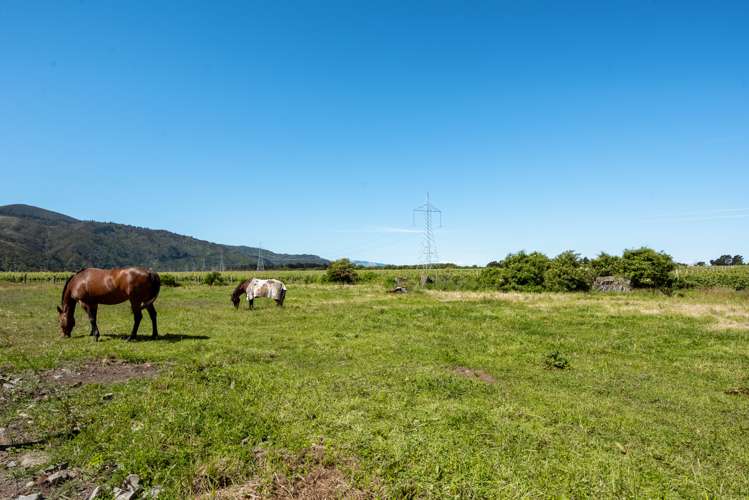 113 Rarangi Road Rarangi_19