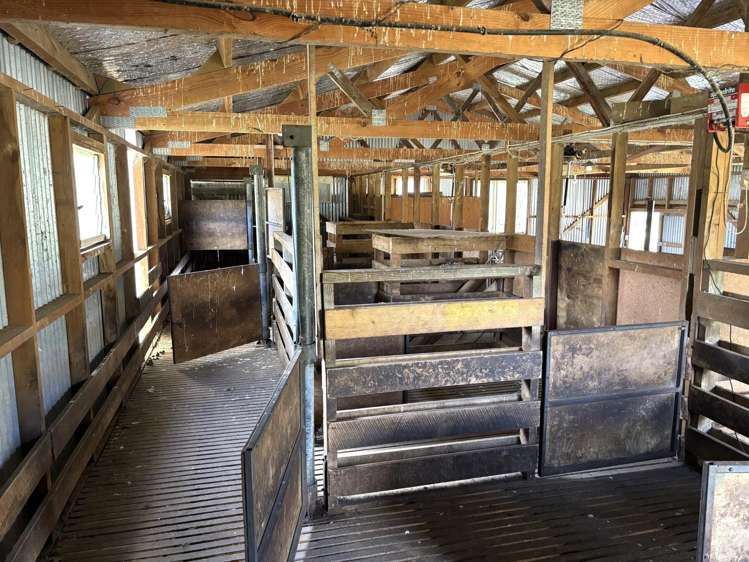 Paraketu Road Waimiha_22