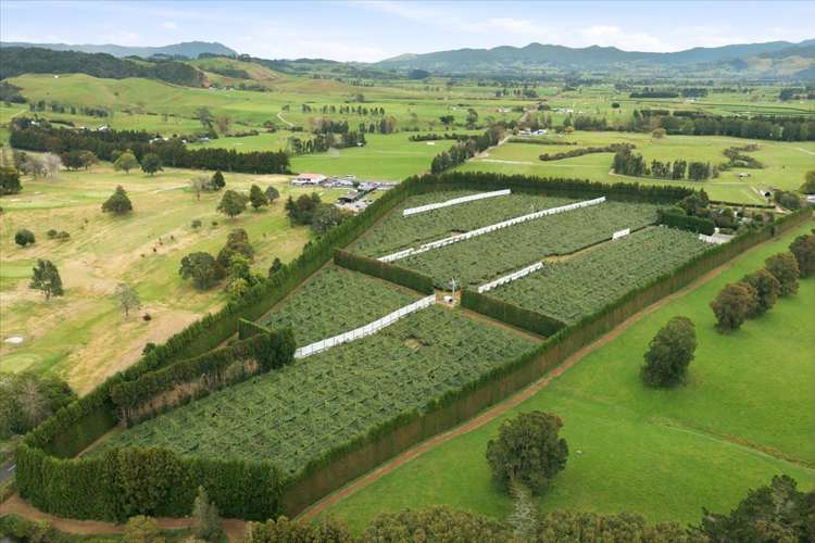 79 Woodlands Road Waihi Beach_4