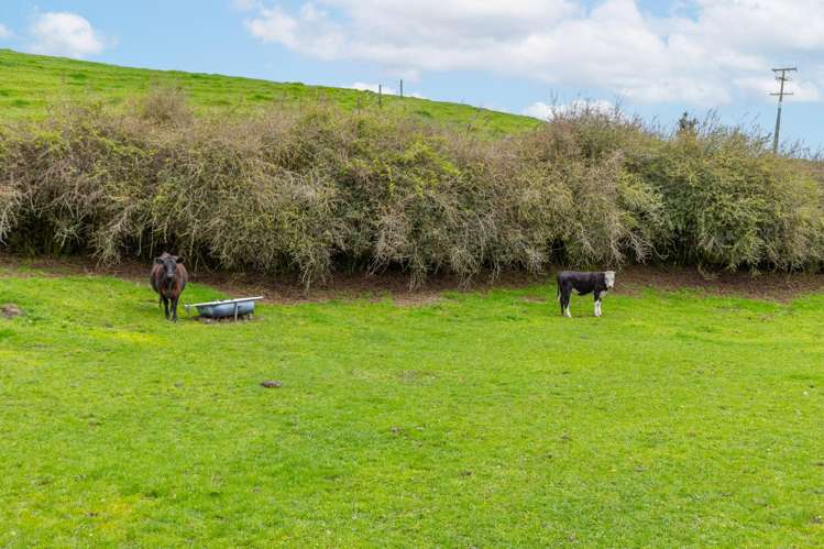 3798 State Highway 1 Tokoroa_26