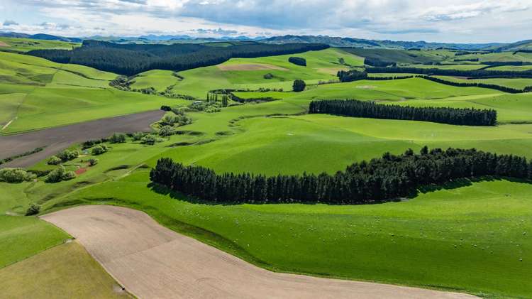 1443 Omihi Road Omihi_27