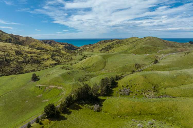 7797 State Highway 1 Ward_15