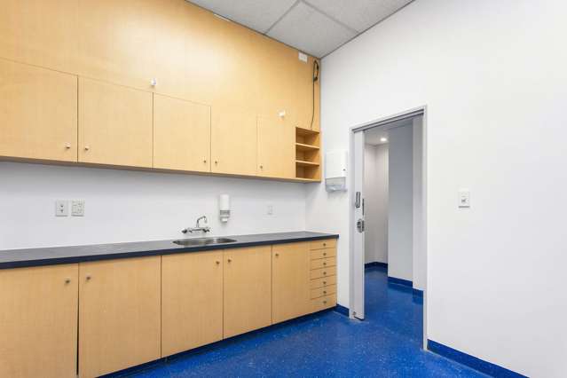 3 Pilgrim Place Sydenham_3