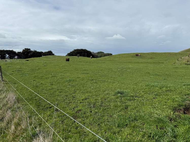 335a Couper Road Glen Oroua_14