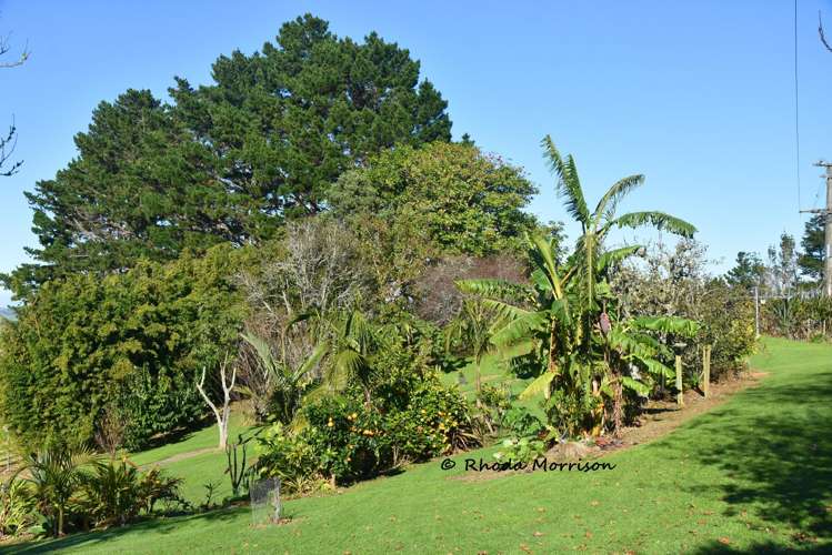 330 Franklin Road Paparoa_8