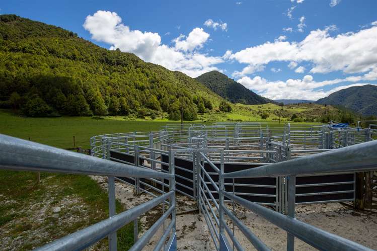 614 Gowan Valley Road Kahurangi National Park_29