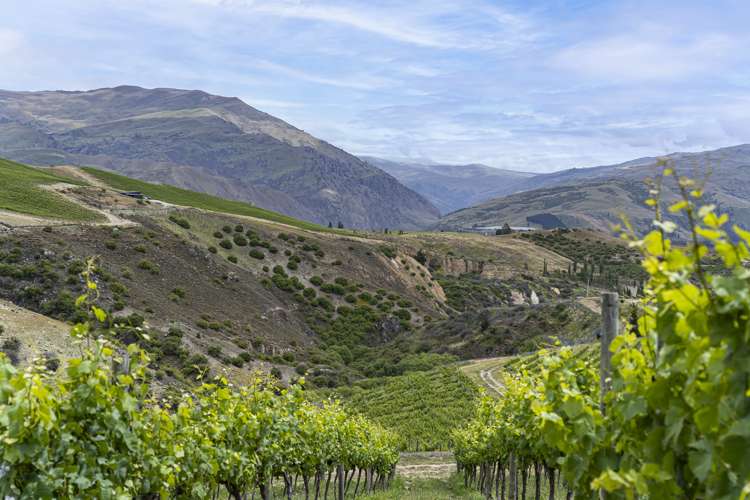 Cairnmuir Road Nevis_3