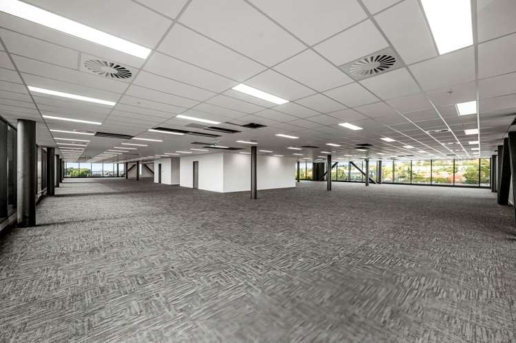 9 Marewa Road Greenlane_5