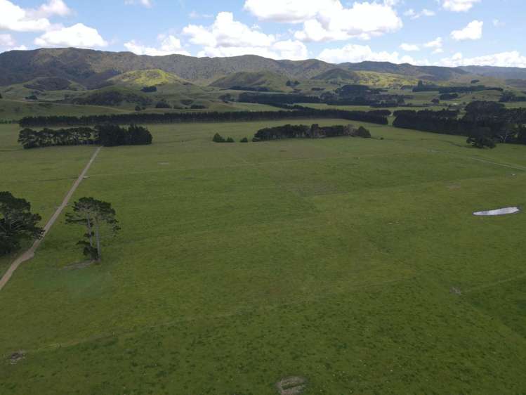 220 Larsen Road Eketahuna_15