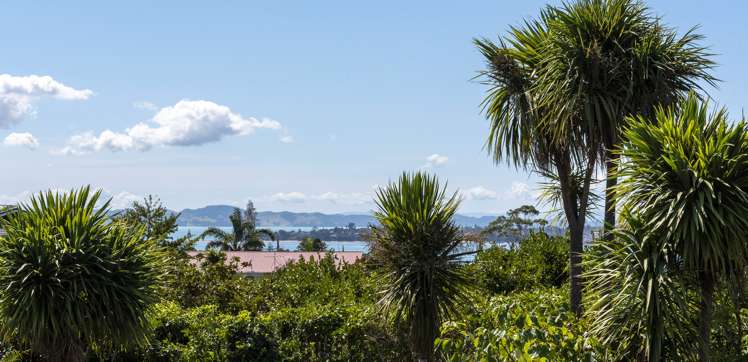 51 Litten Road Cockle Bay_1