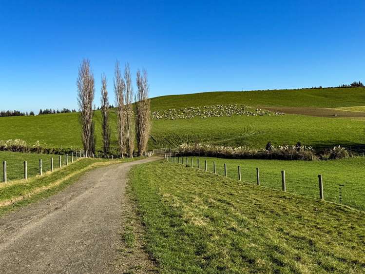 125B Davidson Road Mimihau_6