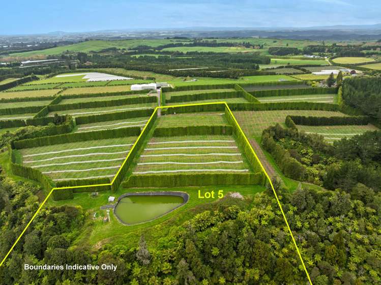 Lot 5/1010 Te Matai Road Te Ranga_0