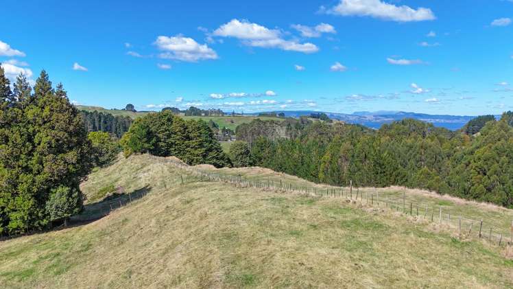 255 Jackson Road Hamurana_58