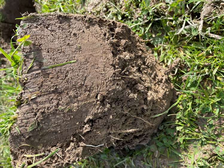 279 Karere Road Tiakitahuna_1