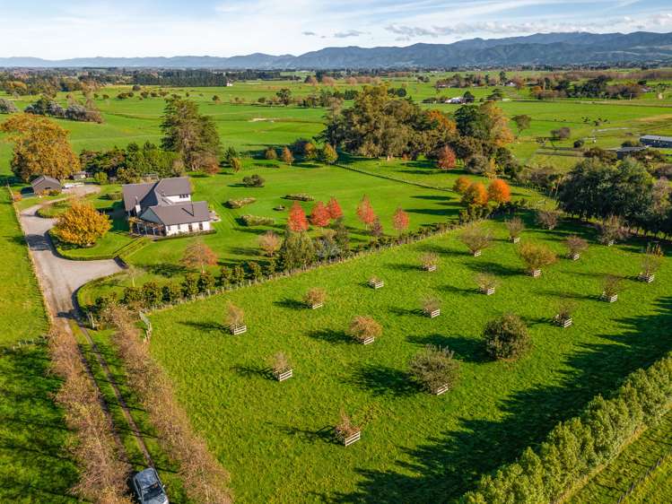 348b Francis Line Carterton_27