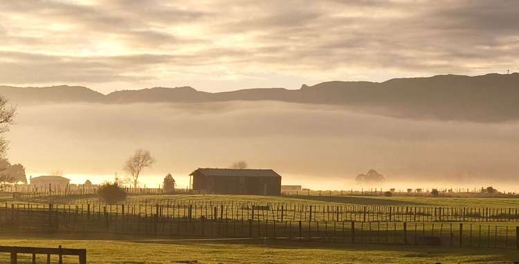 14 Nikau Place Matamata_19