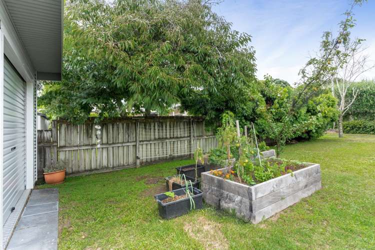 99 Vista Paku Pauanui_28