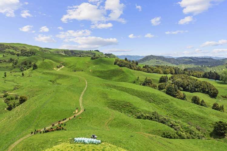 878 Mokauiti Road Aria_5