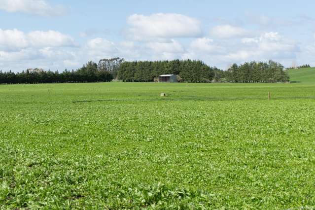 2048 State Highway 50 Ongaonga_1