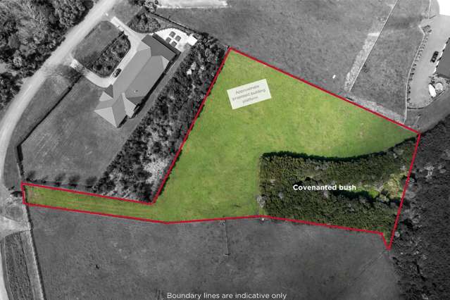 51 Clayden Road Warkworth_2