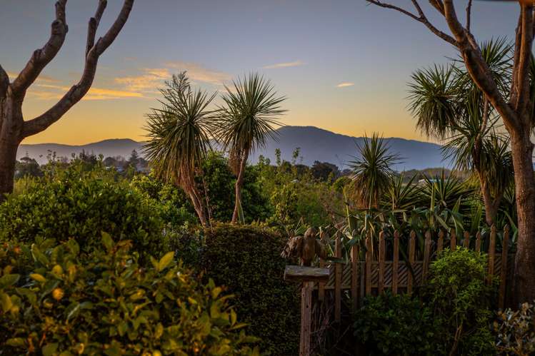 87 Kiwi Road Raumati Beach_28