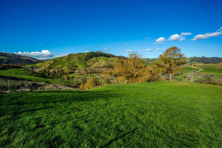 6/311 Flume Road Tauwhare_9