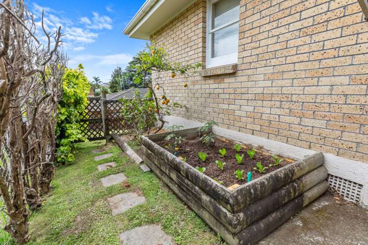 38 The Drive Brookfield_10